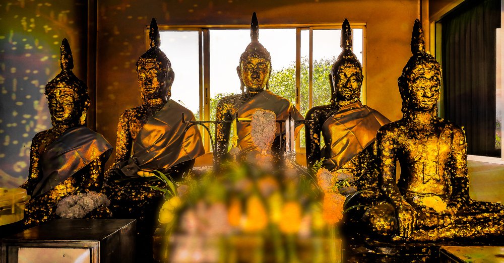 Photograph by TYM XS