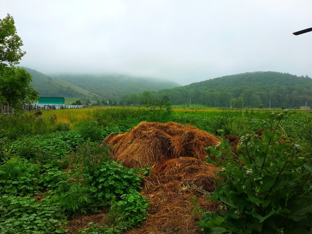 Photograph by Елена Дубова