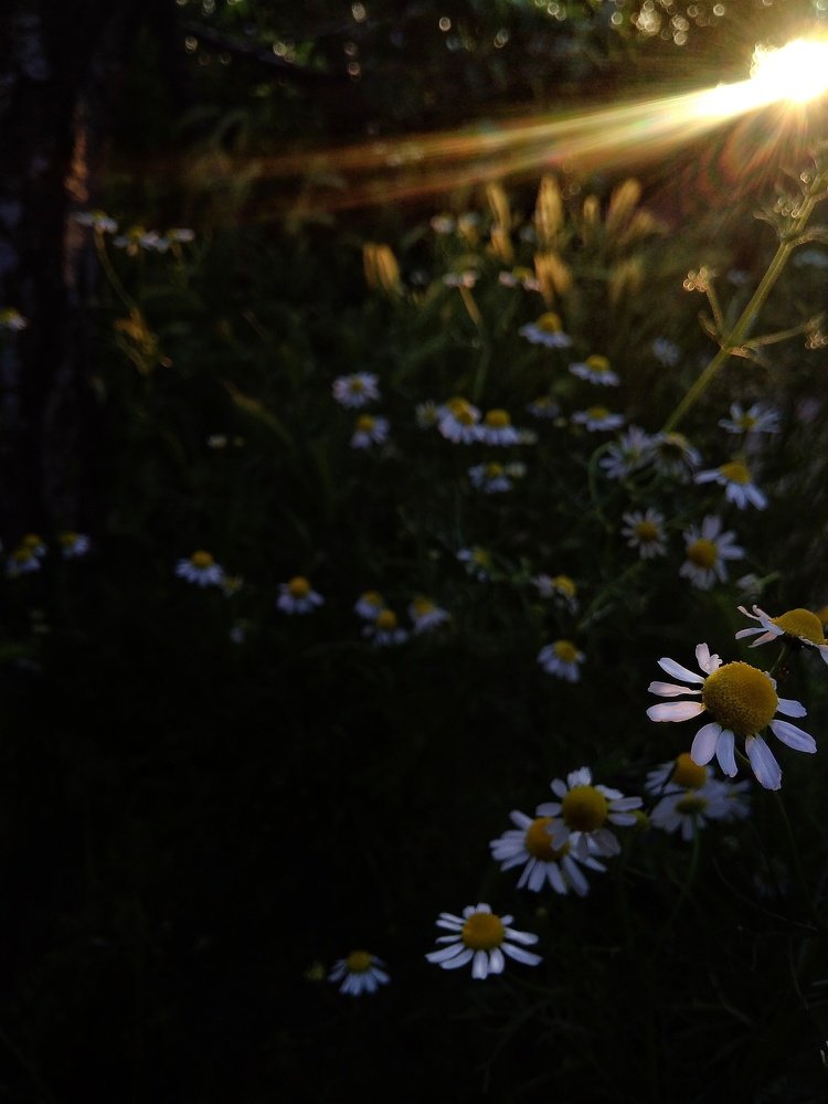 Photograph by Камила Рахматова