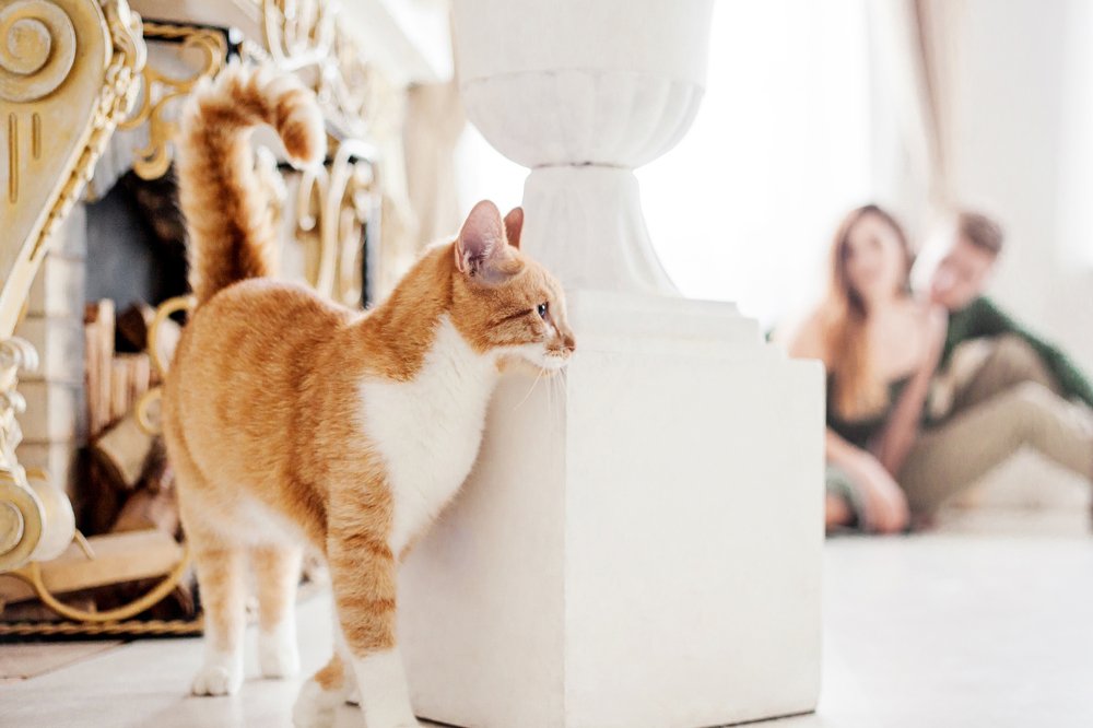 Photograph by Marina Moreva