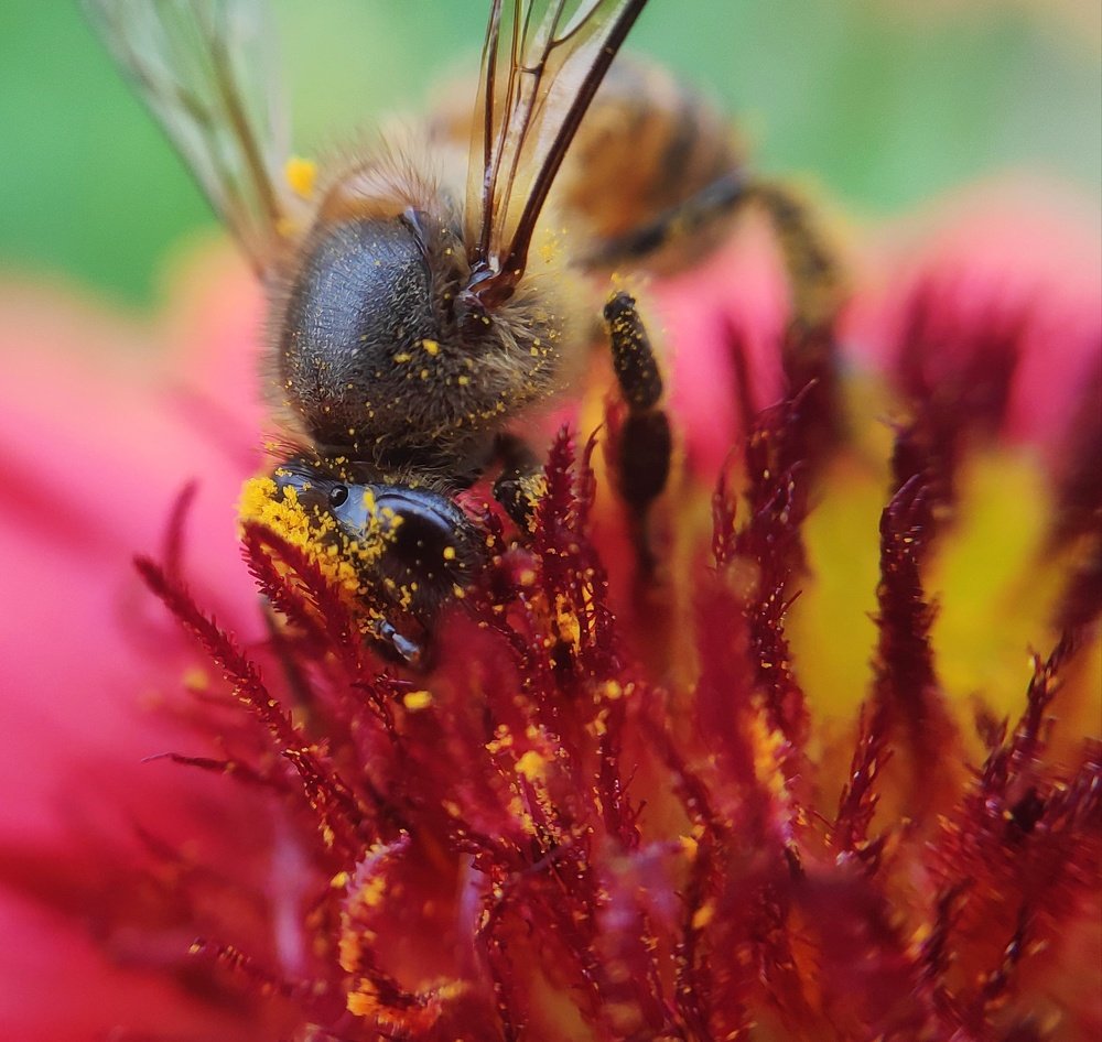 Photograph by LALUPRASAD SENAPATI