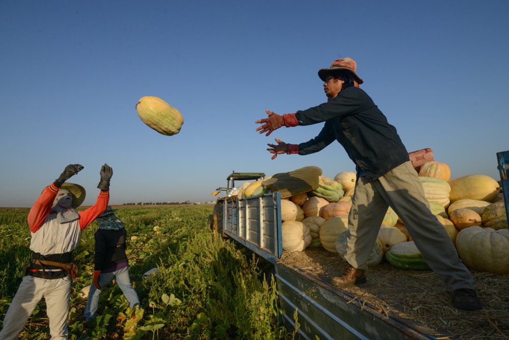 Photograph by Eli Basri