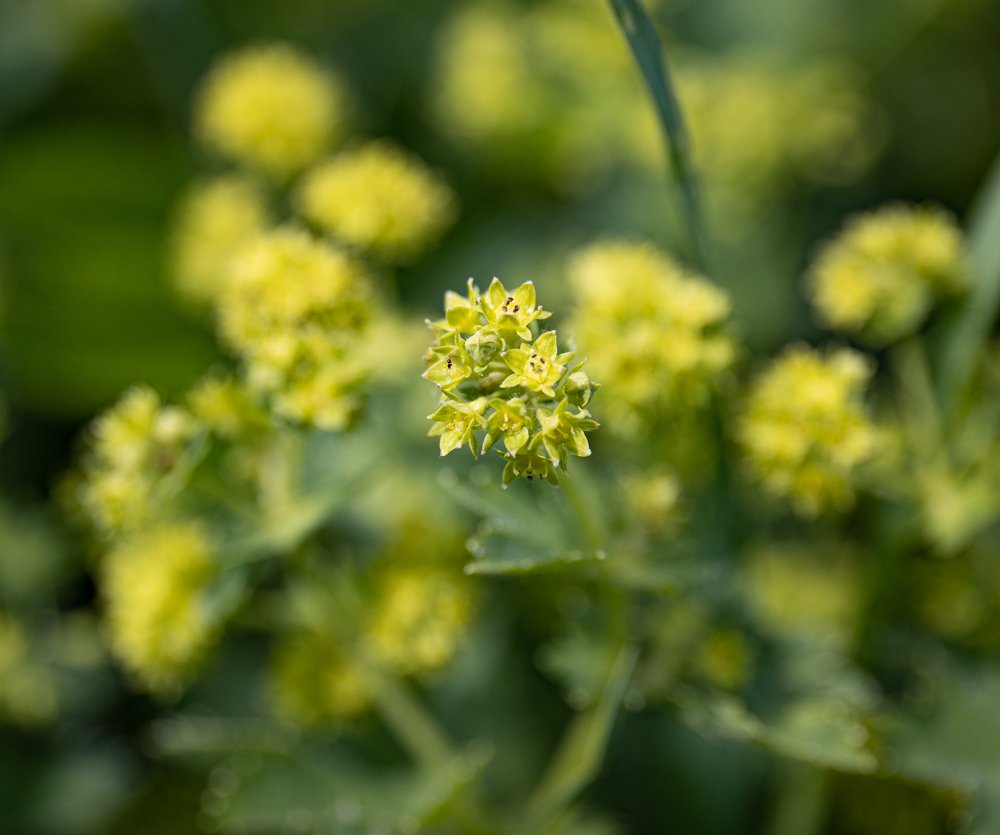 Photograph by Юрий Чернов