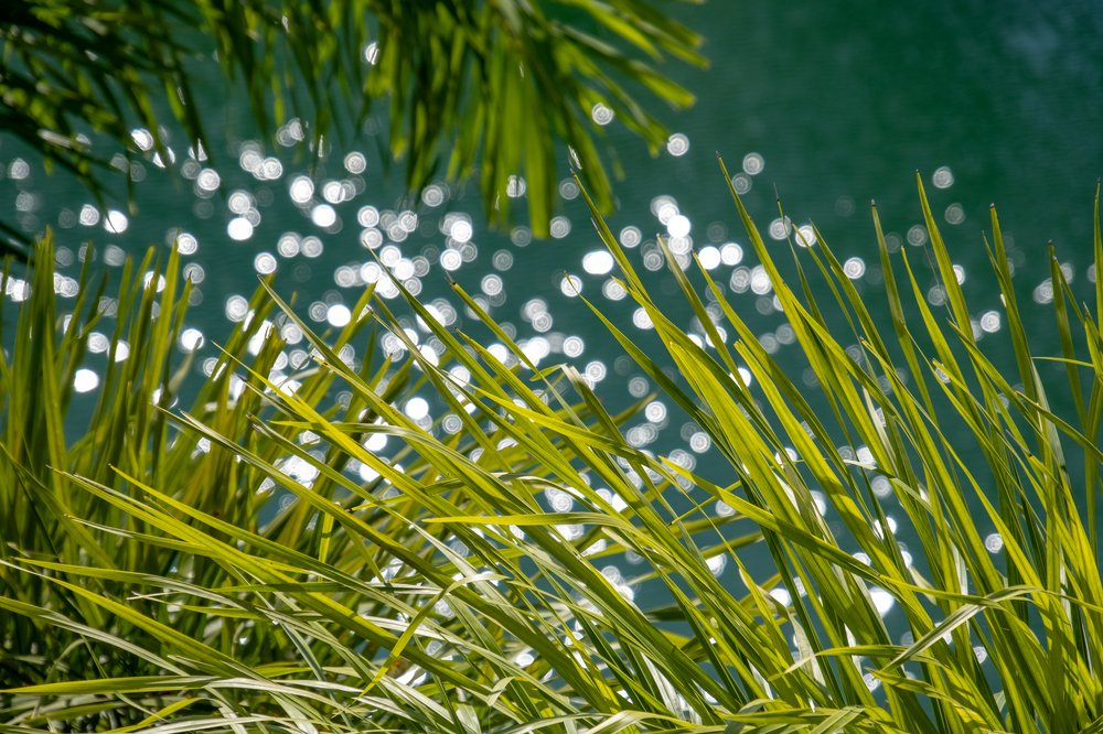 Photograph by Юрий Чернов