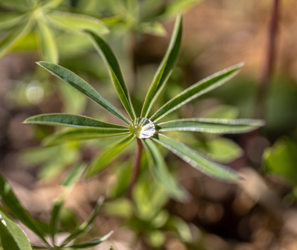 Photograph by Юрий Чернов