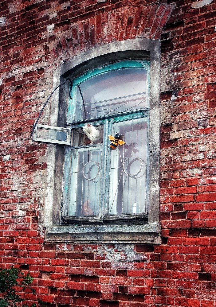 Photograph by Александр Мокеев