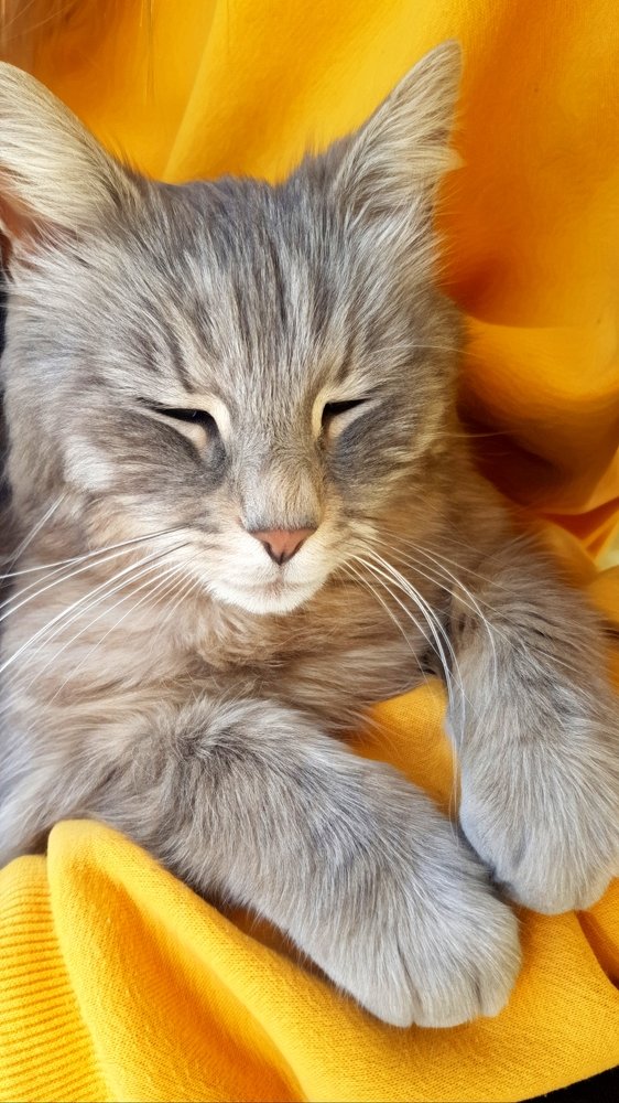 Photograph by Mojca Rebol