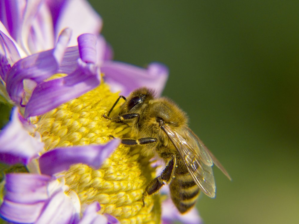 Photograph by Иван Доможирский