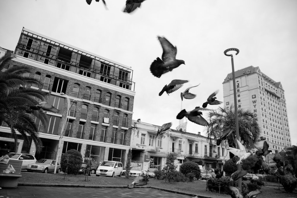 Photograph by soheyla beheshti