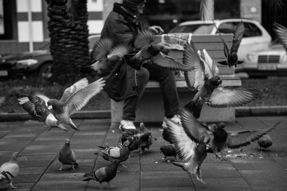 Photograph by soheyla beheshti