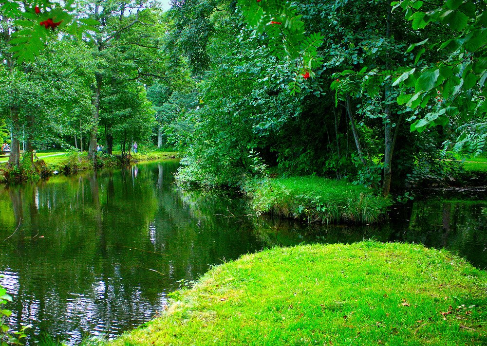 Photograph by Zinaida Nesselmann