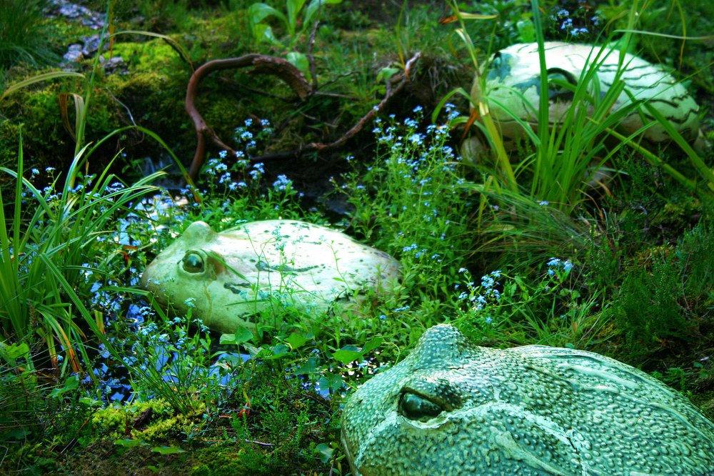 Photograph by Zinaida Nesselmann