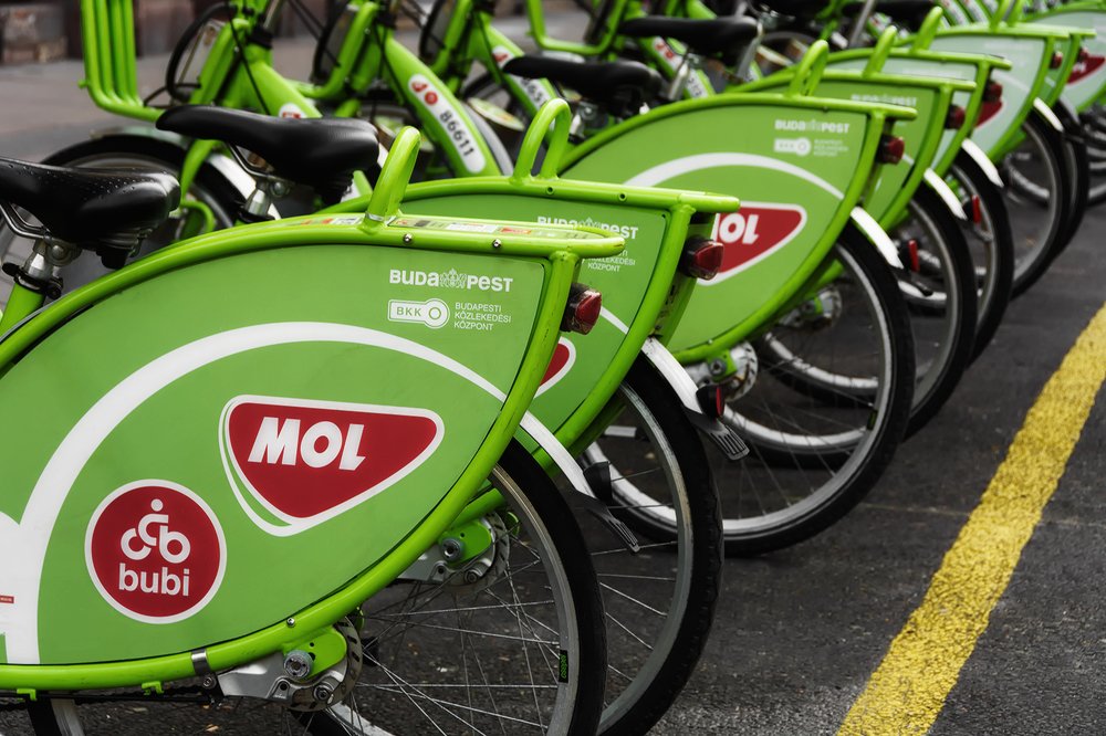 Photograph by Тофиг Рашидов