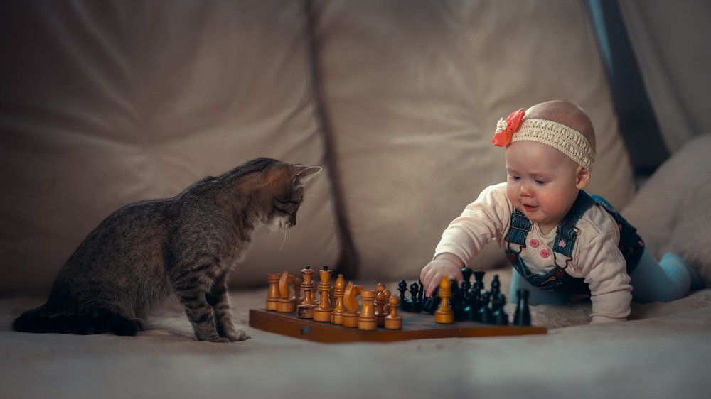 Photograph by Александр Шульга