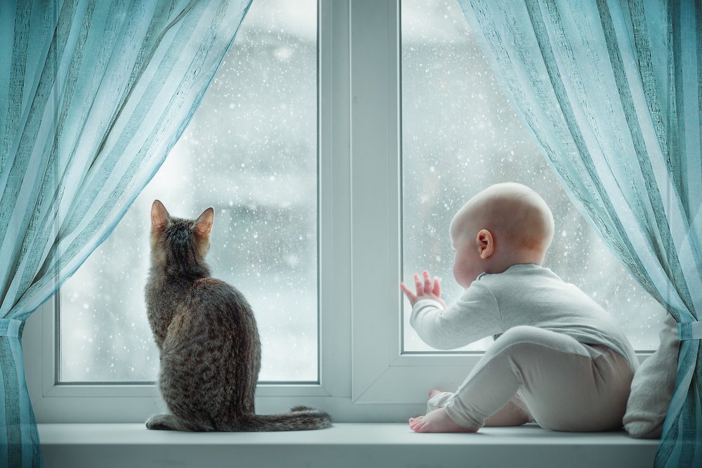 Photograph by Александр Шульга