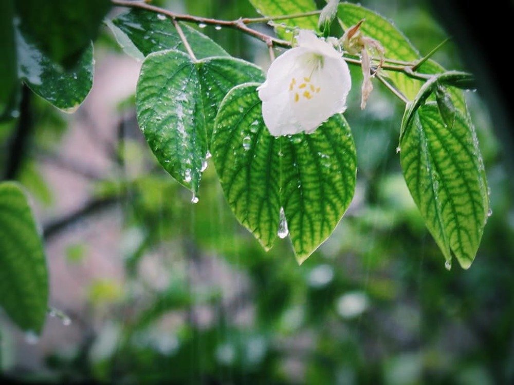 Photograph by SUSMITA SARDAR