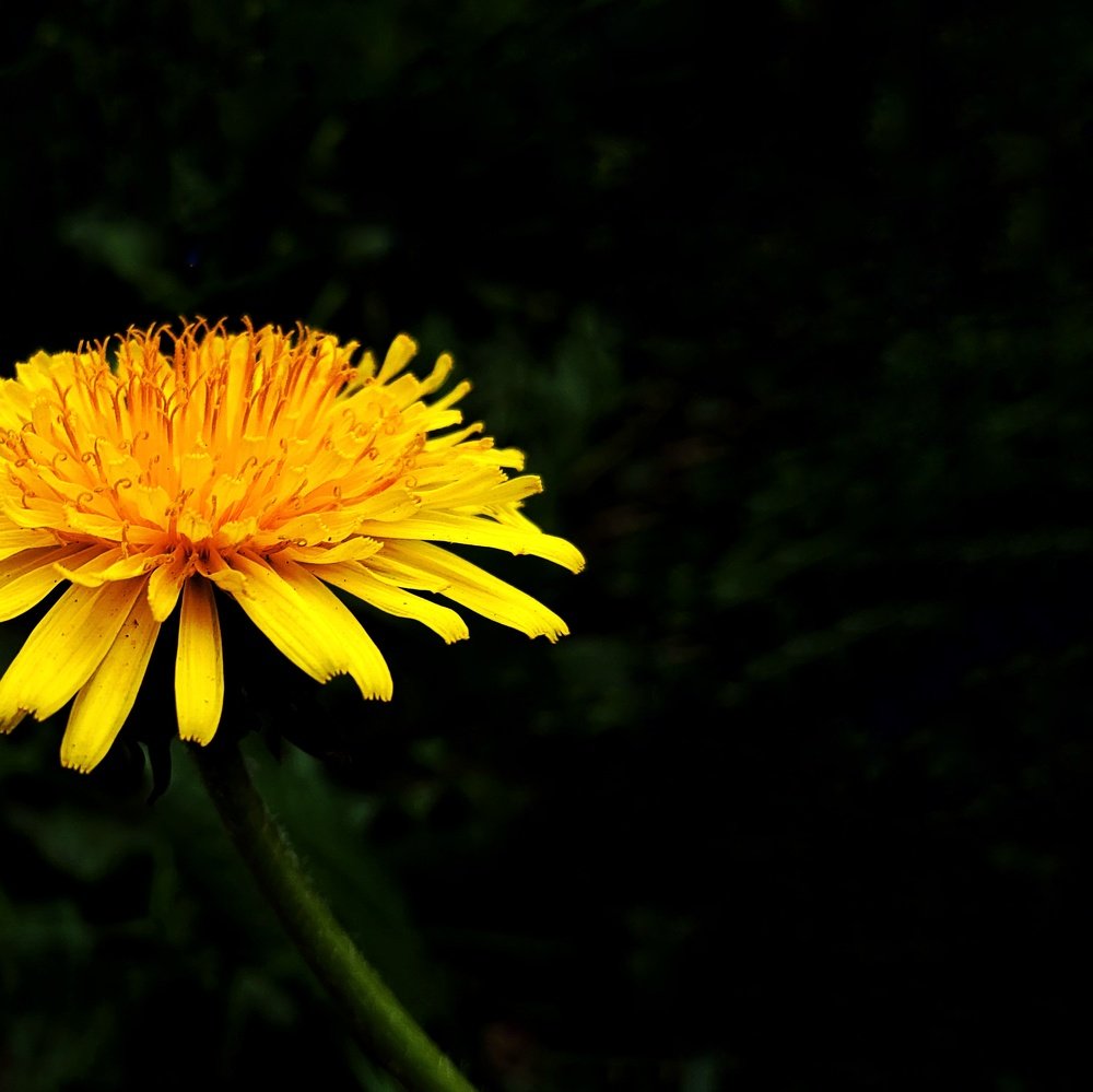 Photo #3565590