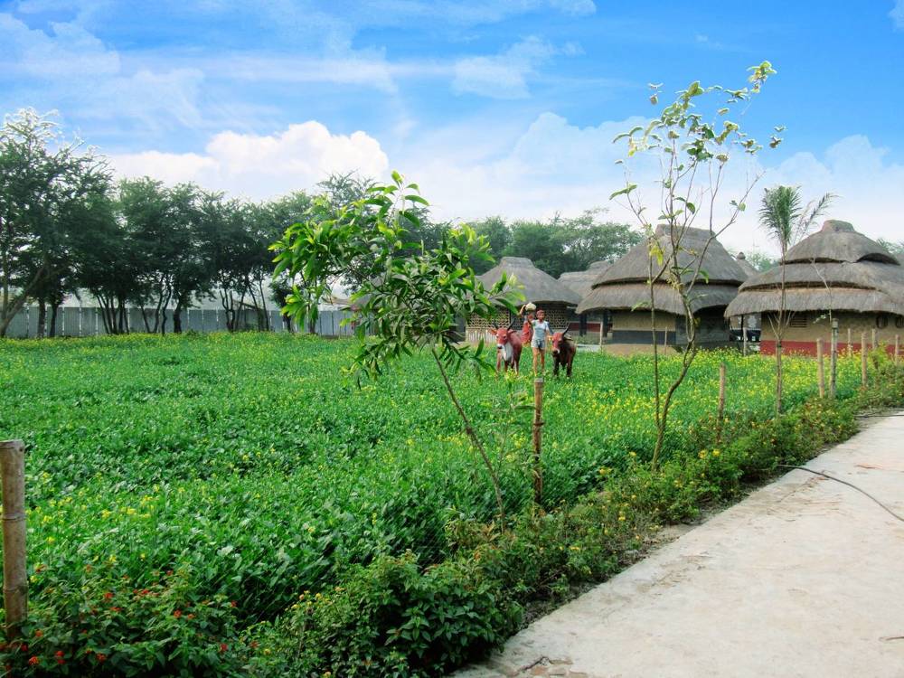 Photograph by SUSMITA SARDAR