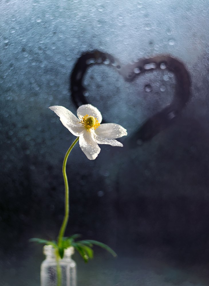 Photograph by Никанорова Ольга