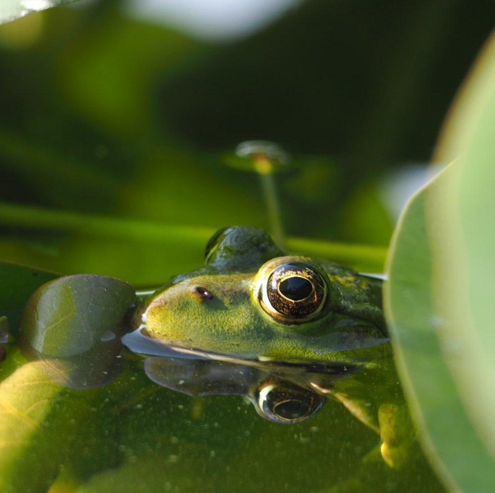 Photograph by Nilesh Tailor