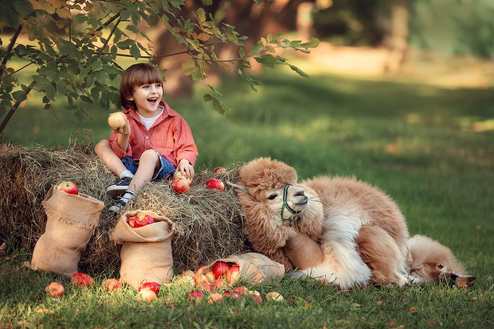 Послеобеденный перерыв