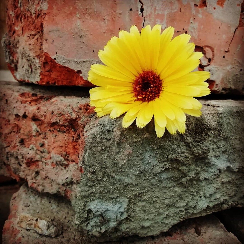 Photograph by Елена Кайзумова