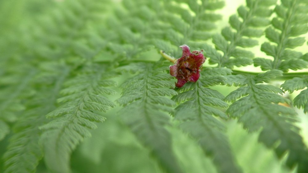 Малое на большом