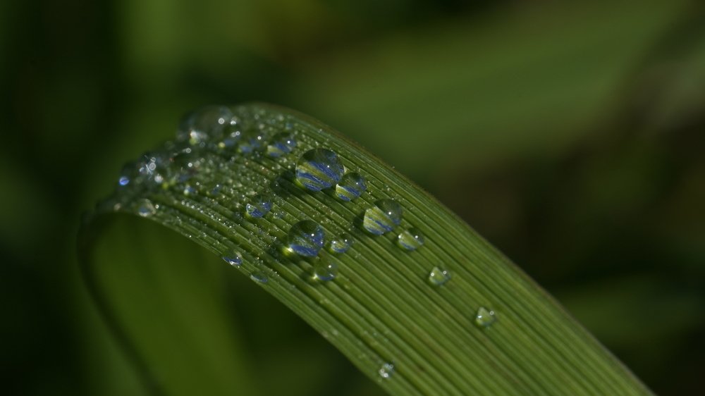 Photograph by Андрей Шартов