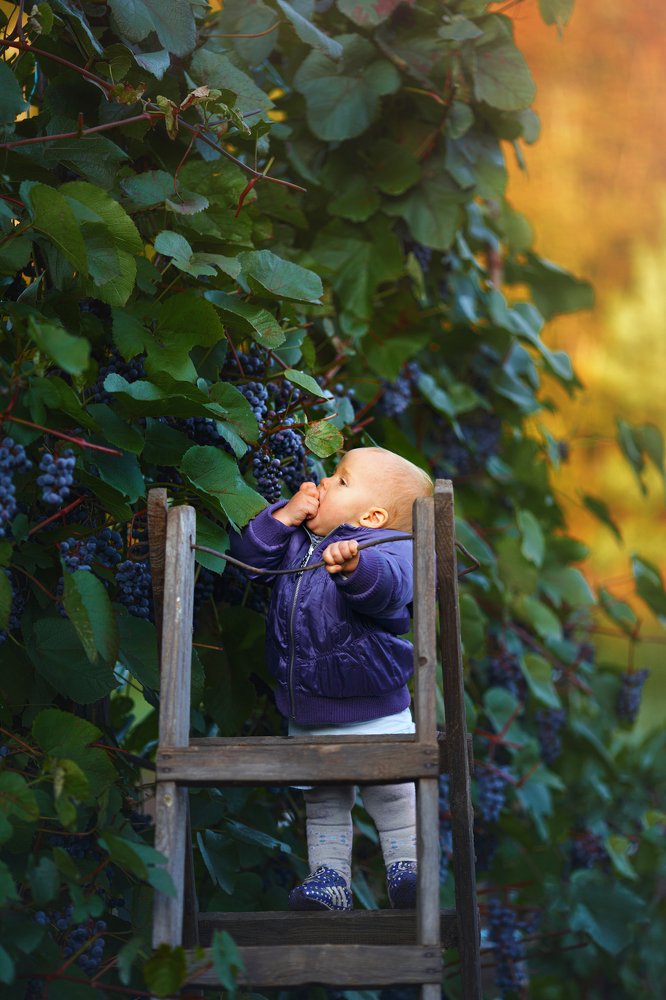 Photograph by Александр Шульга