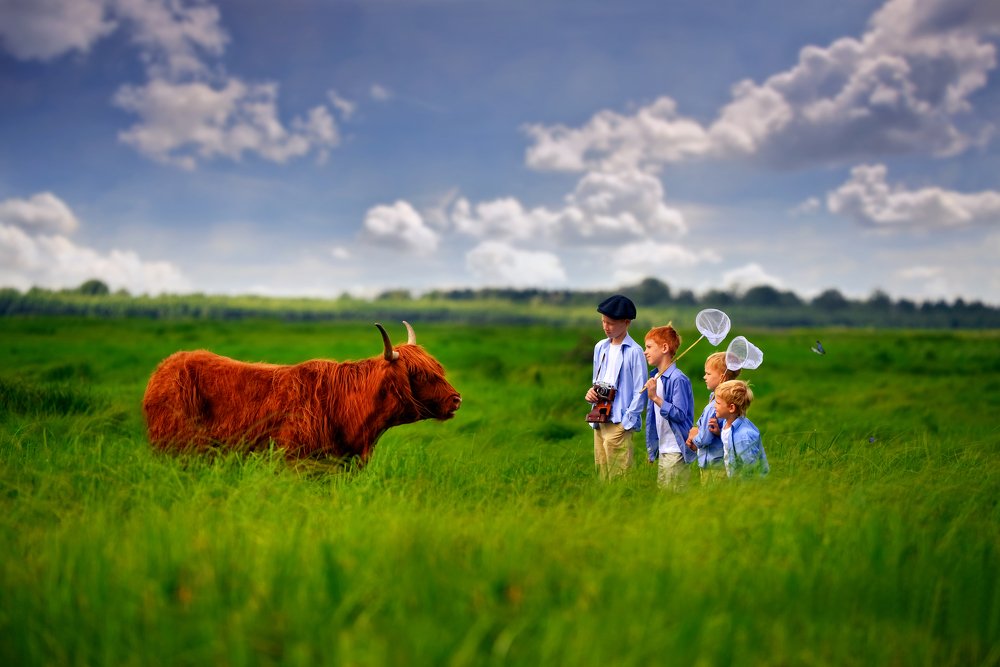 Мы и мир вокруг нас...