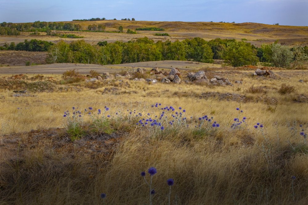 Photograph by петр чиков