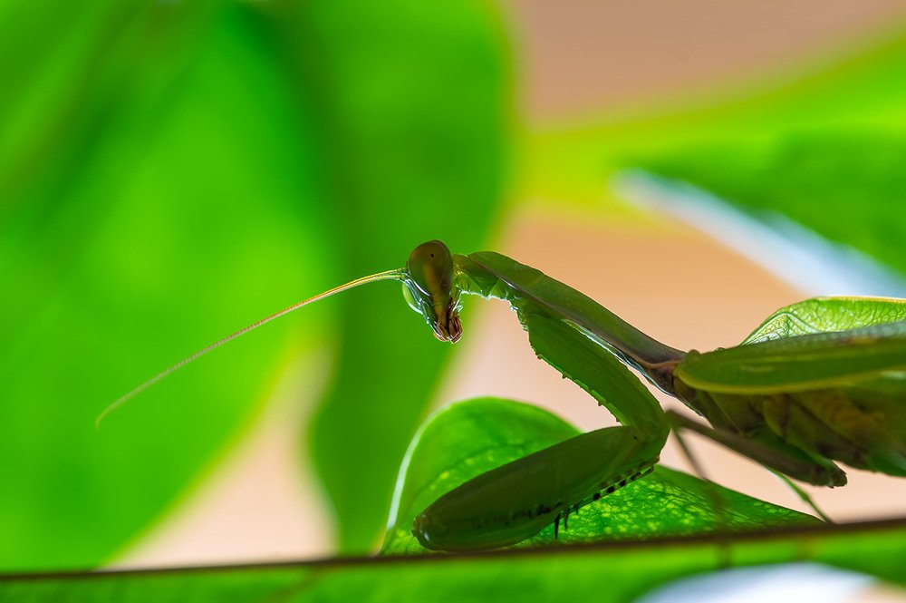 Photograph by Александр Земляной