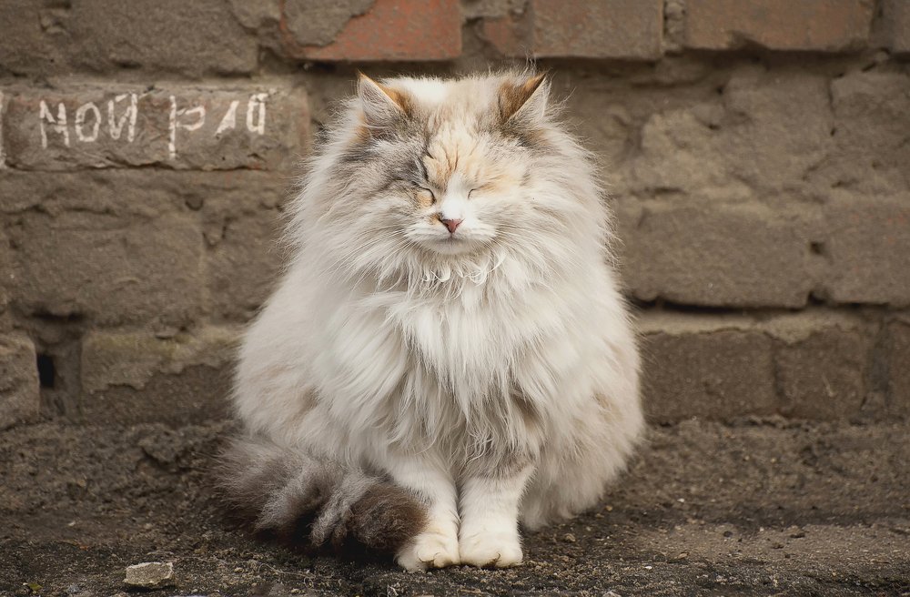 Photograph by Roma  Chitinskiy