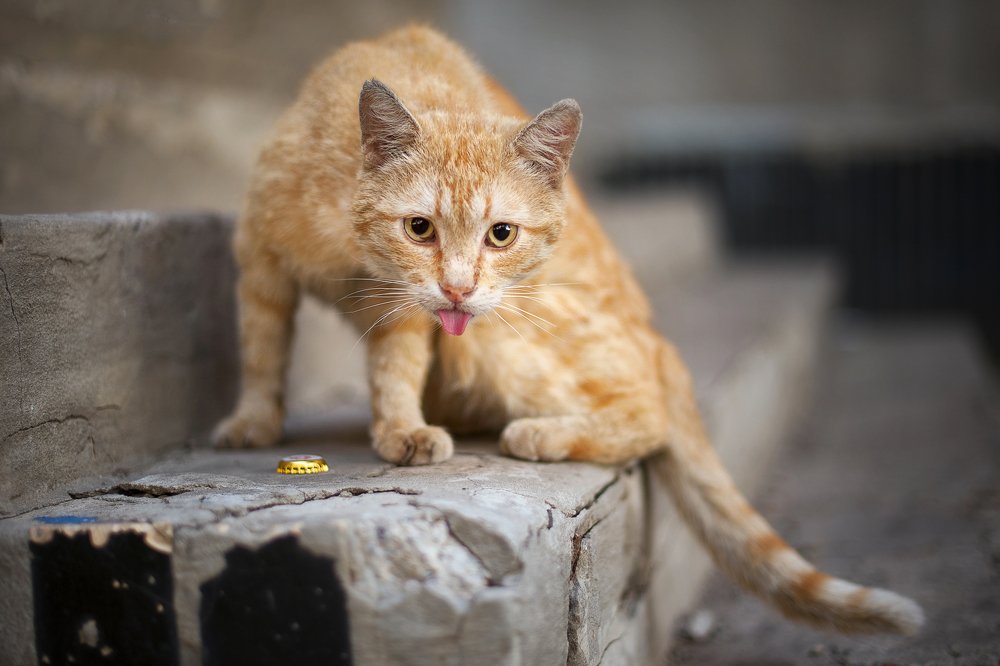 Photograph by Roma  Chitinskiy