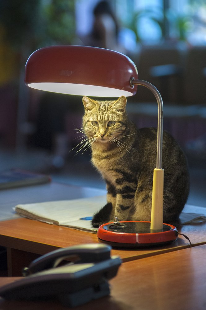 Photograph by Roma  Chitinskiy