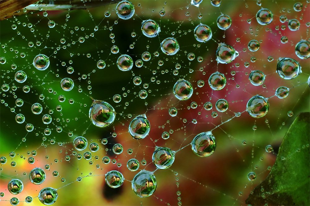 Природные "изумруды"