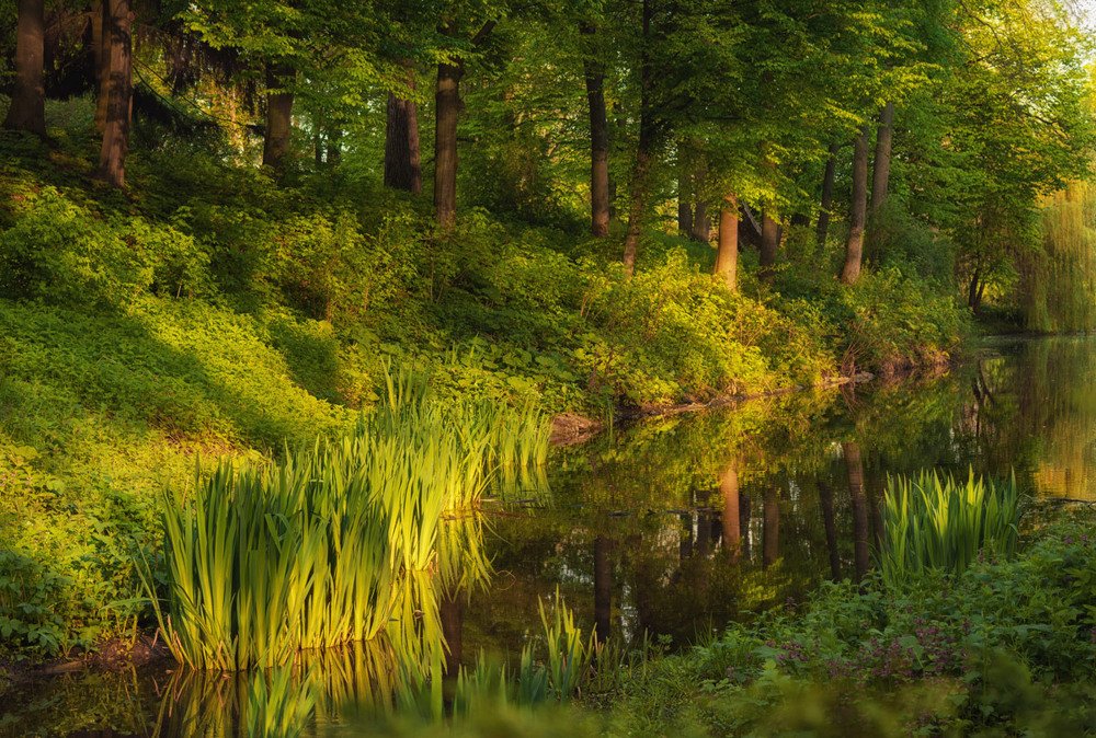 Photograph by Никанорова Ольга