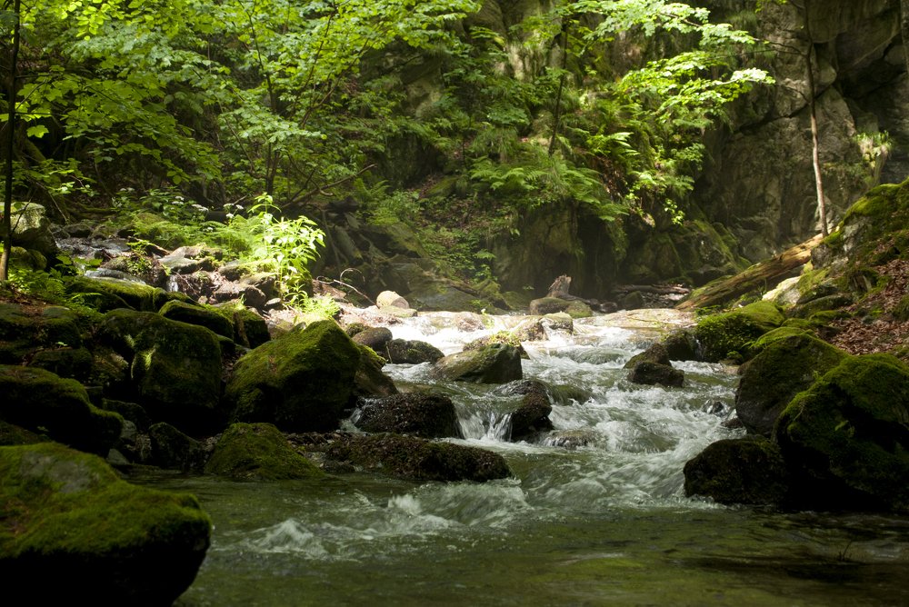 Photograph by Александр Капитонов