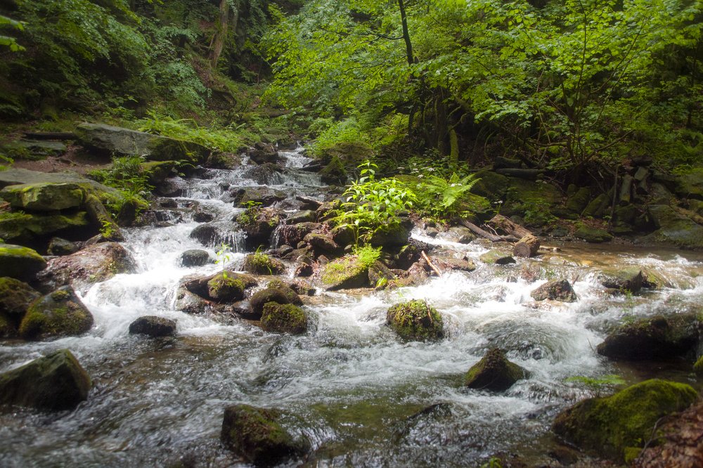 Photograph by Александр Капитонов