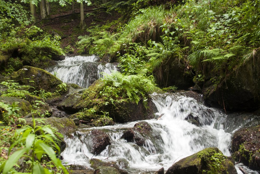 Photograph by Александр Капитонов