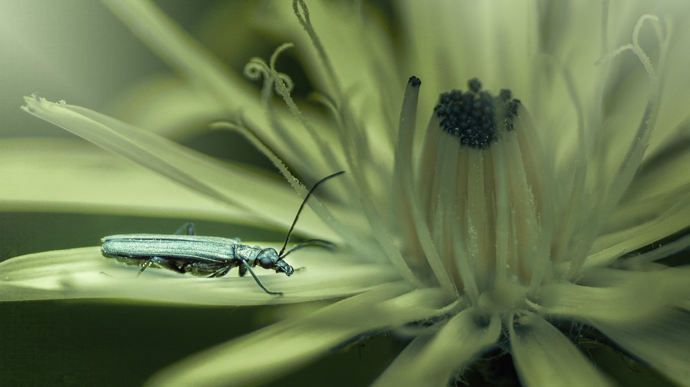 Photograph by Kristina Zvinakeviciute