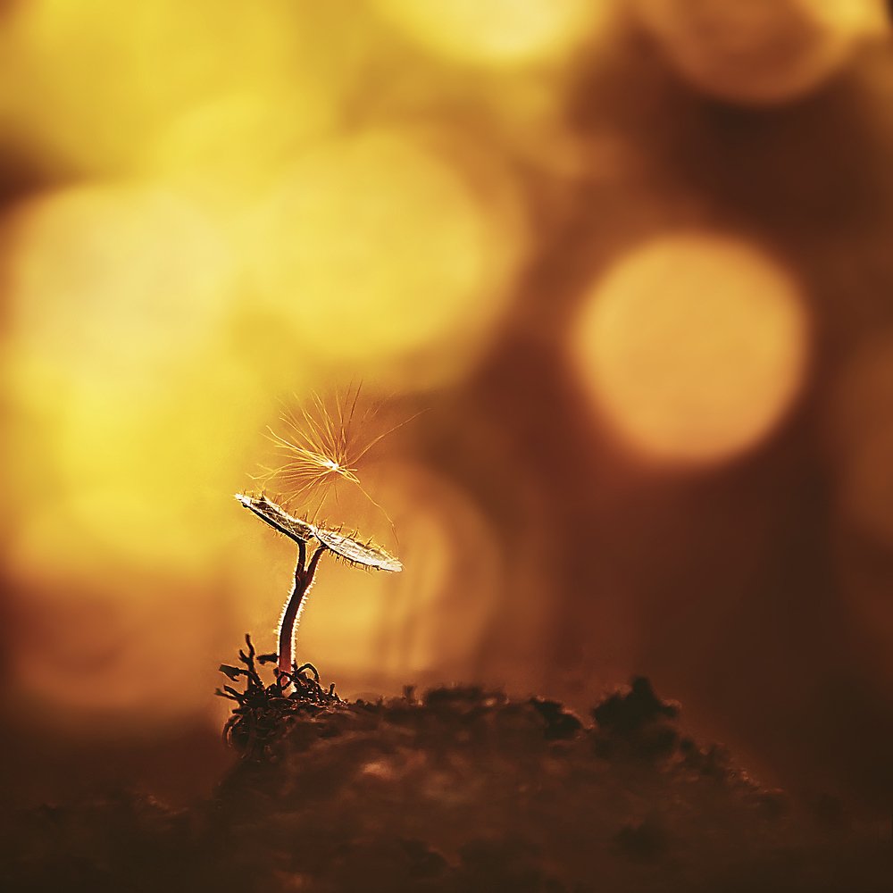 Photograph by Kristina Zvinakeviciute