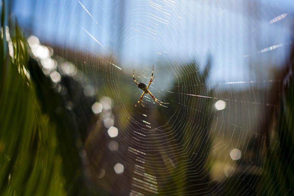 Photograph by SIRENE RODRIGUES FRANÇA