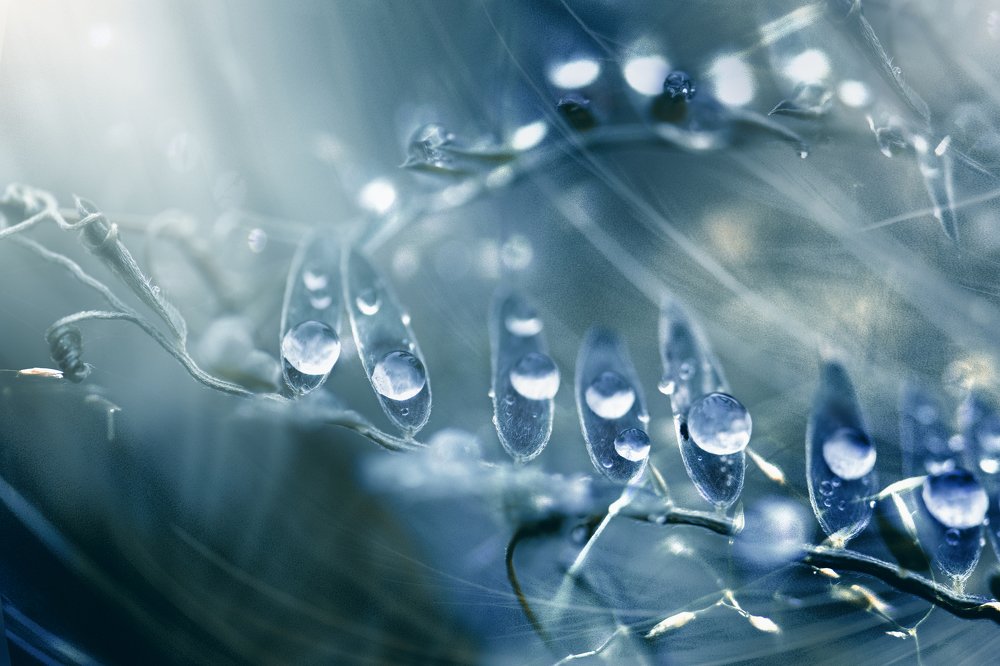 Photograph by Kristina Zvinakeviciute