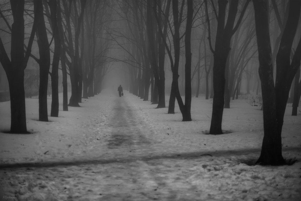 Photograph by Roma  Chitinskiy