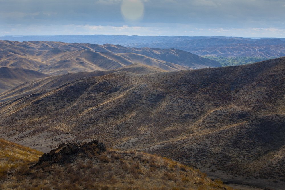 Photograph by петр чиков