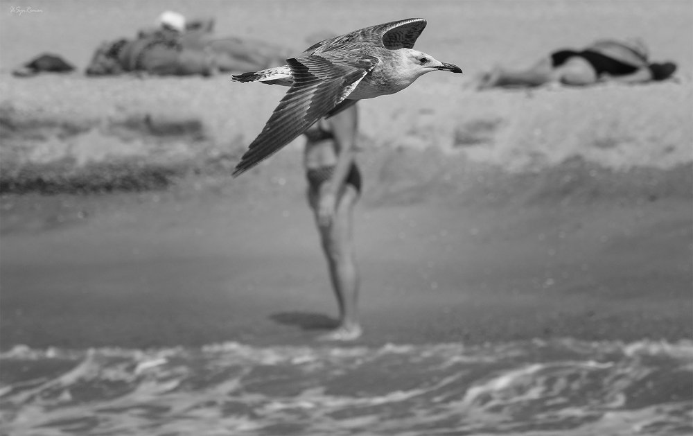 Photograph by Roma  Chitinskiy