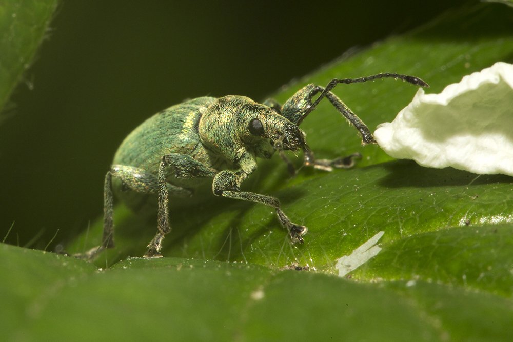 Фотография автора Марина Кулакова