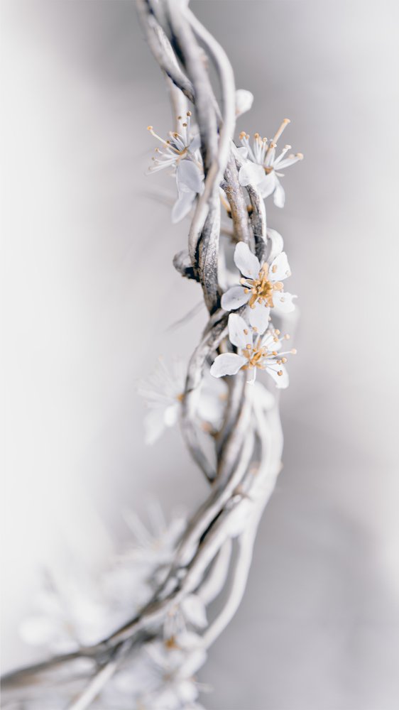 Photograph by Kristina Zvinakeviciute