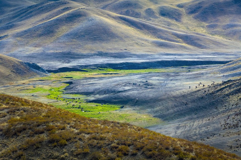 Photograph by петр чиков